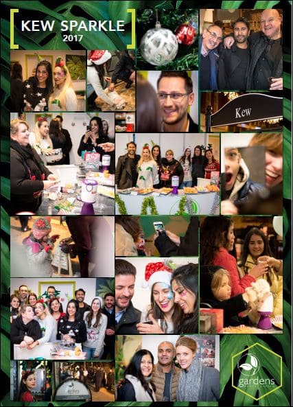 Kew Sparkle Event 2017